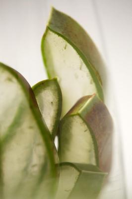 Vorschau des Gutschein-Designs 